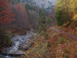 2013-10-26_Schildenstein (056).JPG